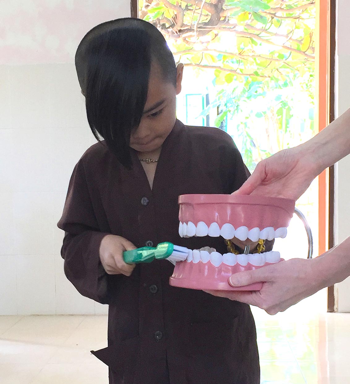 Project Healthy Smile - How To Help